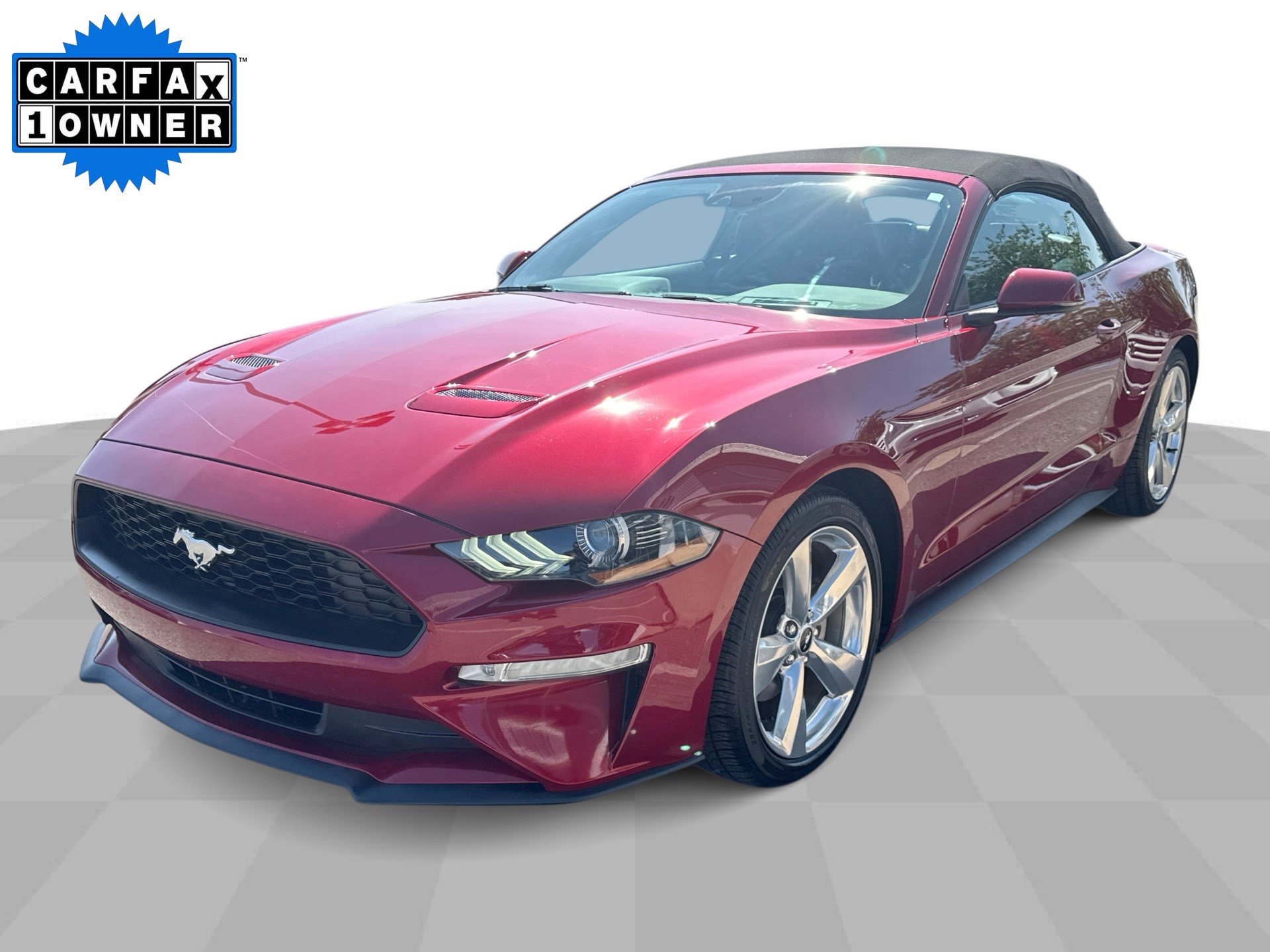 Used 2019 Ford Mustang Premium w/ Equipment Group 201A