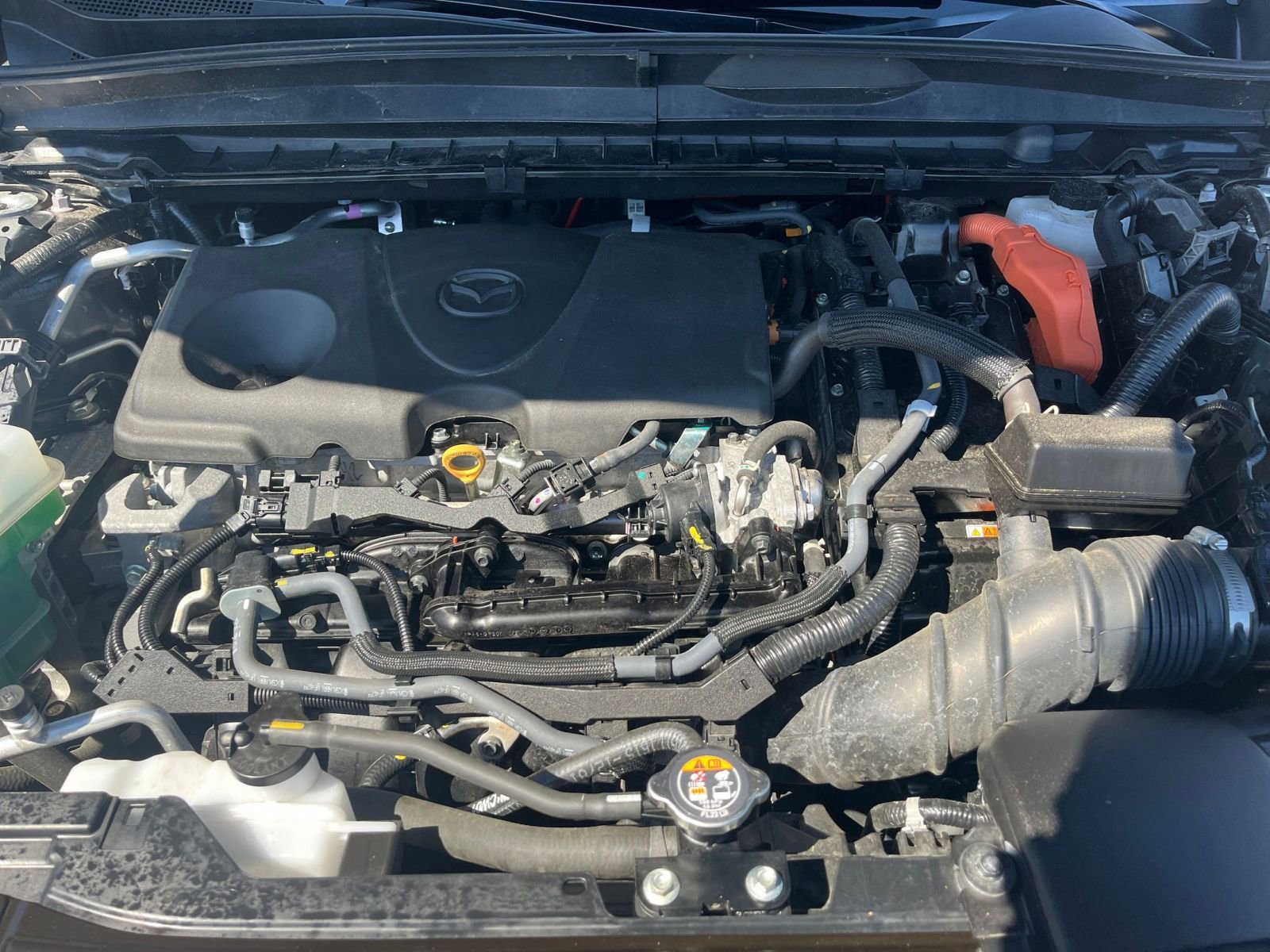 Used 2025 MAZDA CX-50 2.5 Hybrid w/ Premium Plus Pkg image 29