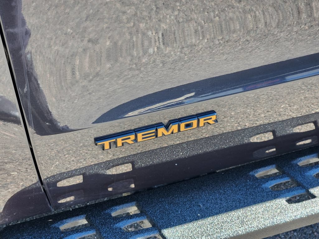 Used 2025 Ford Expedition Tremor AWD/4WD image 24