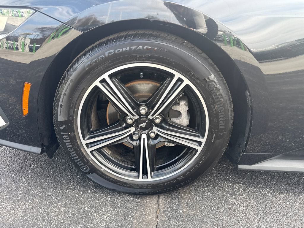 Used 2025 Ford Mustang Premium image 13