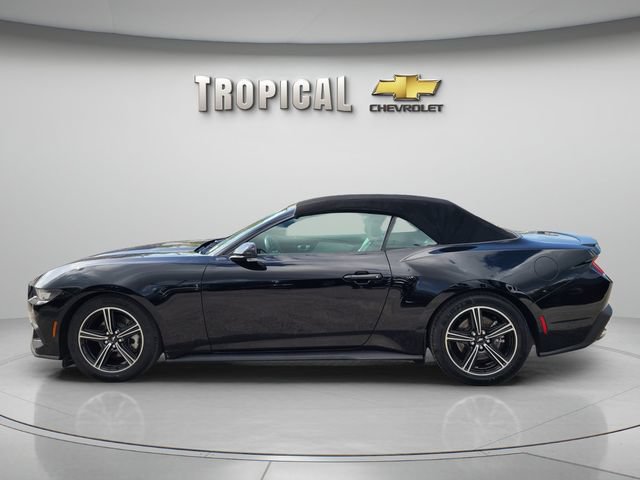 Used 2024 Ford Mustang Premium RWD image 2