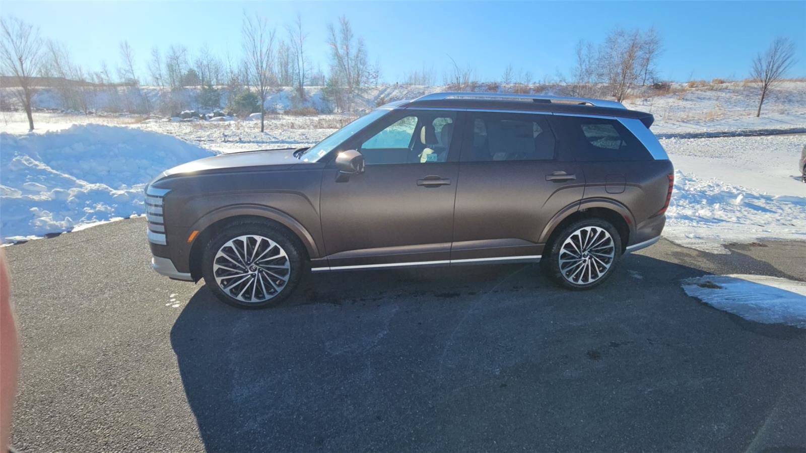 New 2026 Hyundai Palisade Calligraphy image 4