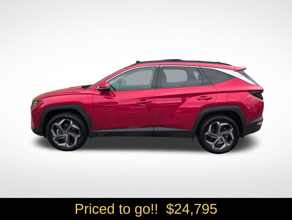 Used 2023 Hyundai Tucson Limited AWD/4WD image 3