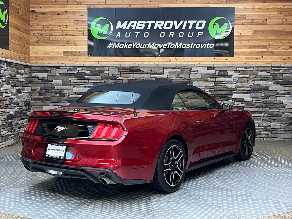 Used 2019 Ford Mustang Convertible w/ Equipment Group 101A RWD image 24
