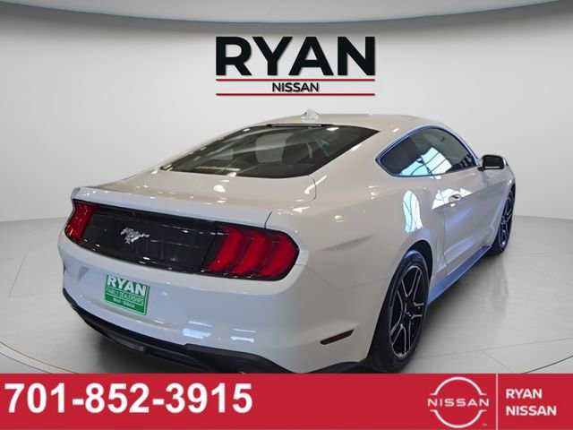 Used 2023 Ford Mustang EcoBoost image 5