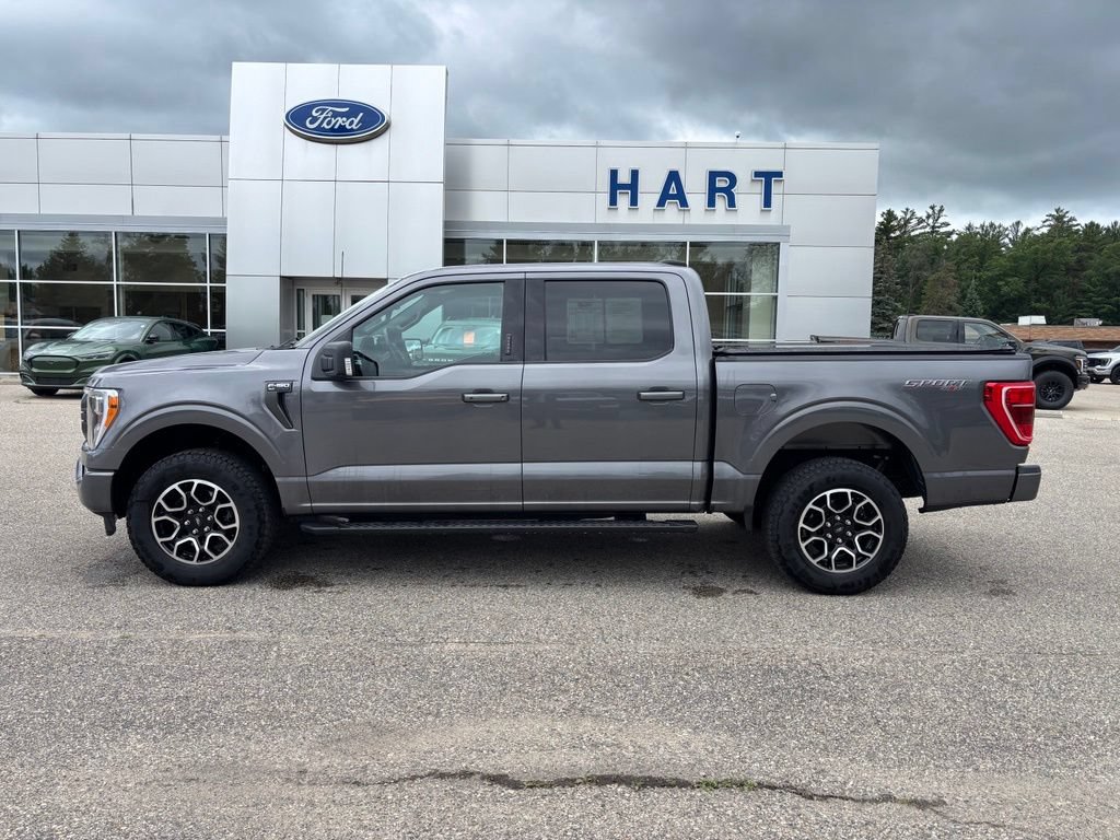 Used 2023 Ford F150 XLT w/ Equipment Group 302A High AWD/4WD image 6