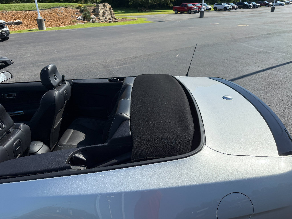 Used 2019 Ford Mustang GT Premium w/ Equipment Group 401A RWD image 18