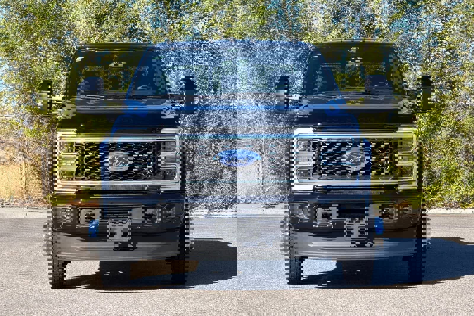 New 2026 Ford F450 Platinum image 10