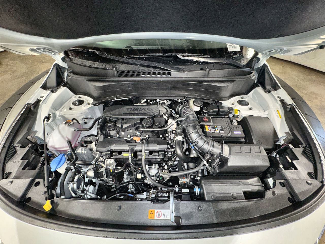 New 2026 Kia Seltos SX w/ SX Sunroof Package image 32