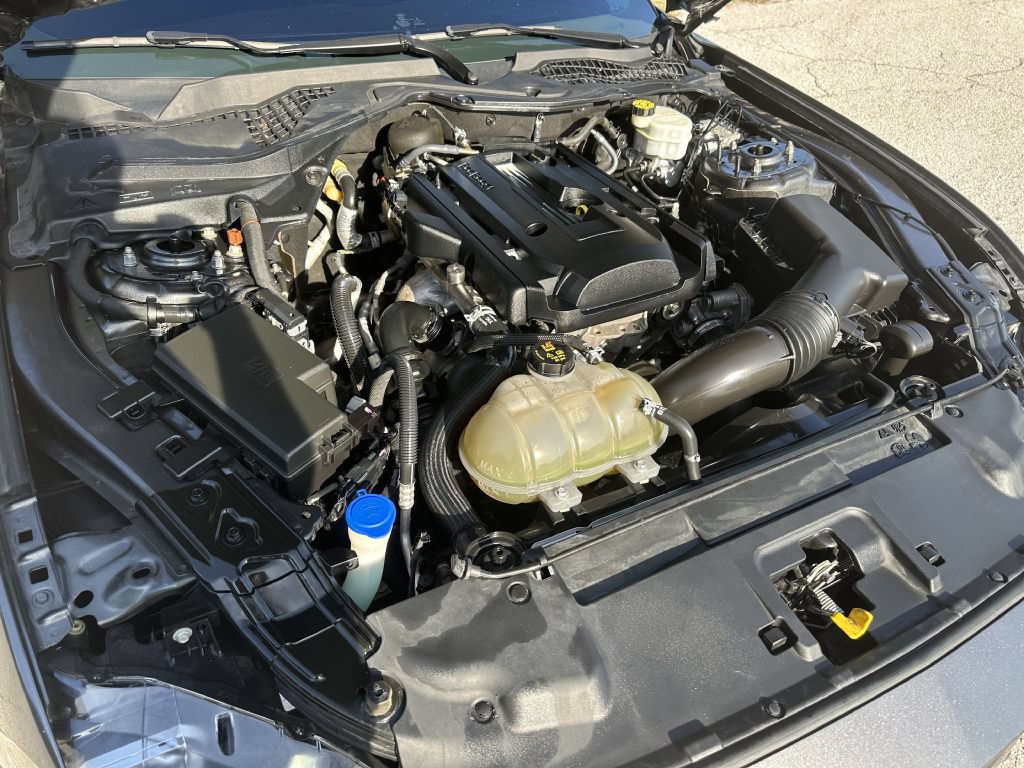 Used 2020 Ford Mustang Premium w/ Equipment Group 201A RWD image 4