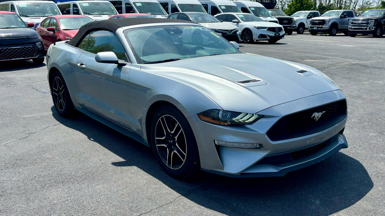 Used 2022 Ford Mustang Premium image 4