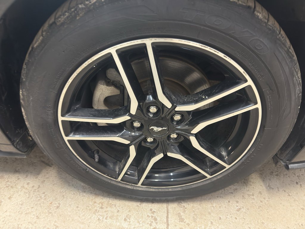 Used 2019 Ford Mustang Premium image 29