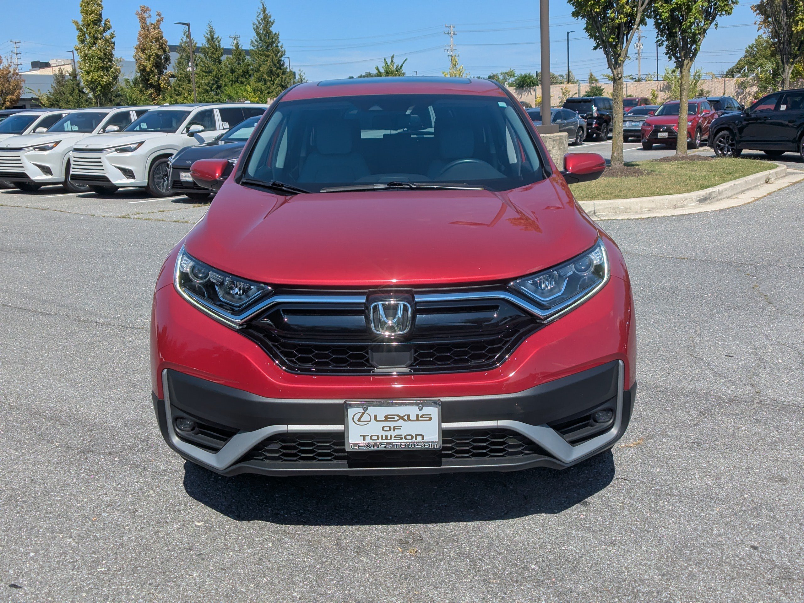Used 2022 Honda CR-V EX-L image 6