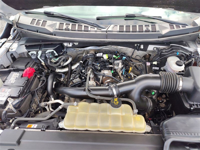 Used 2019 Ford F150 XLT w/ Equipment Group 302A Luxury image 11