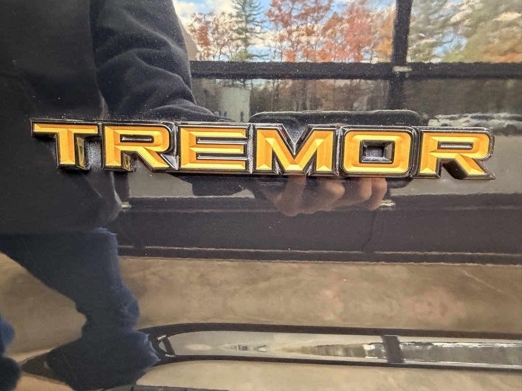 Used 2023 Ford F150 Tremor image 11