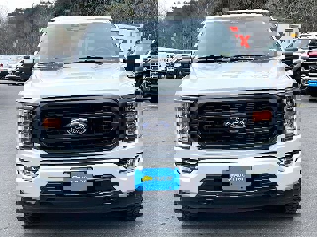 Used 2022 Ford F150 XLT w/ Equipment Group 302A High AWD/4WD image 2