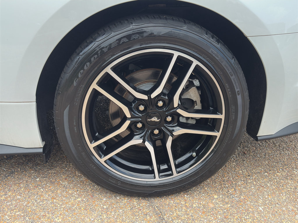Used 2023 Ford Mustang Premium RWD image 19