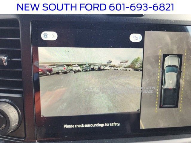 New 2025 Ford F250 Platinum image 19