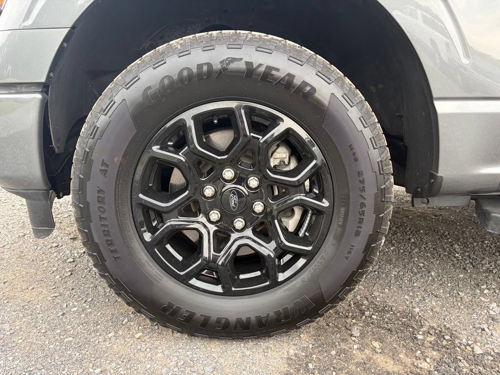 Used 2025 Ford F150 XLT w/ Equipment Group 301A Standard AWD/4WD image 14