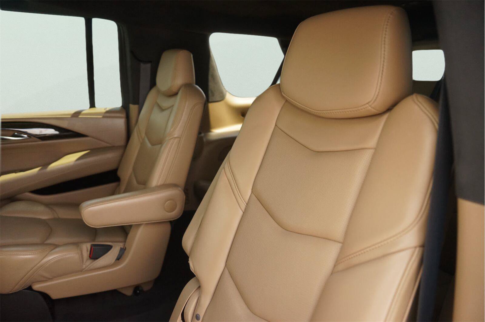Used 2020 Cadillac Escalade ESV Platinum AWD/4WD image 14