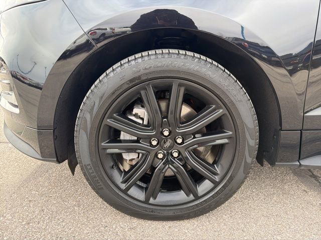 Used 2024 Ford Edge ST-Line image 13