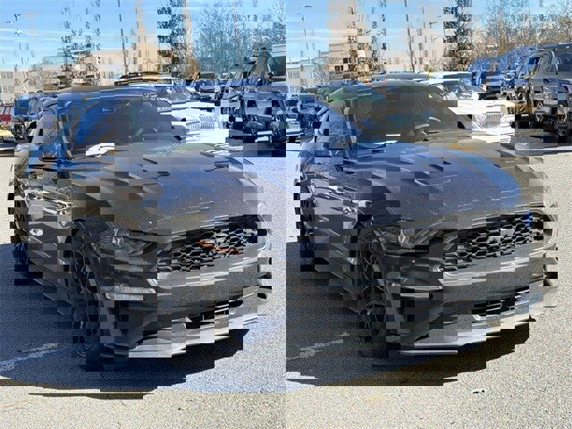 Used 2022 Ford Mustang Coupe w/ Equipment Group 101A image 3