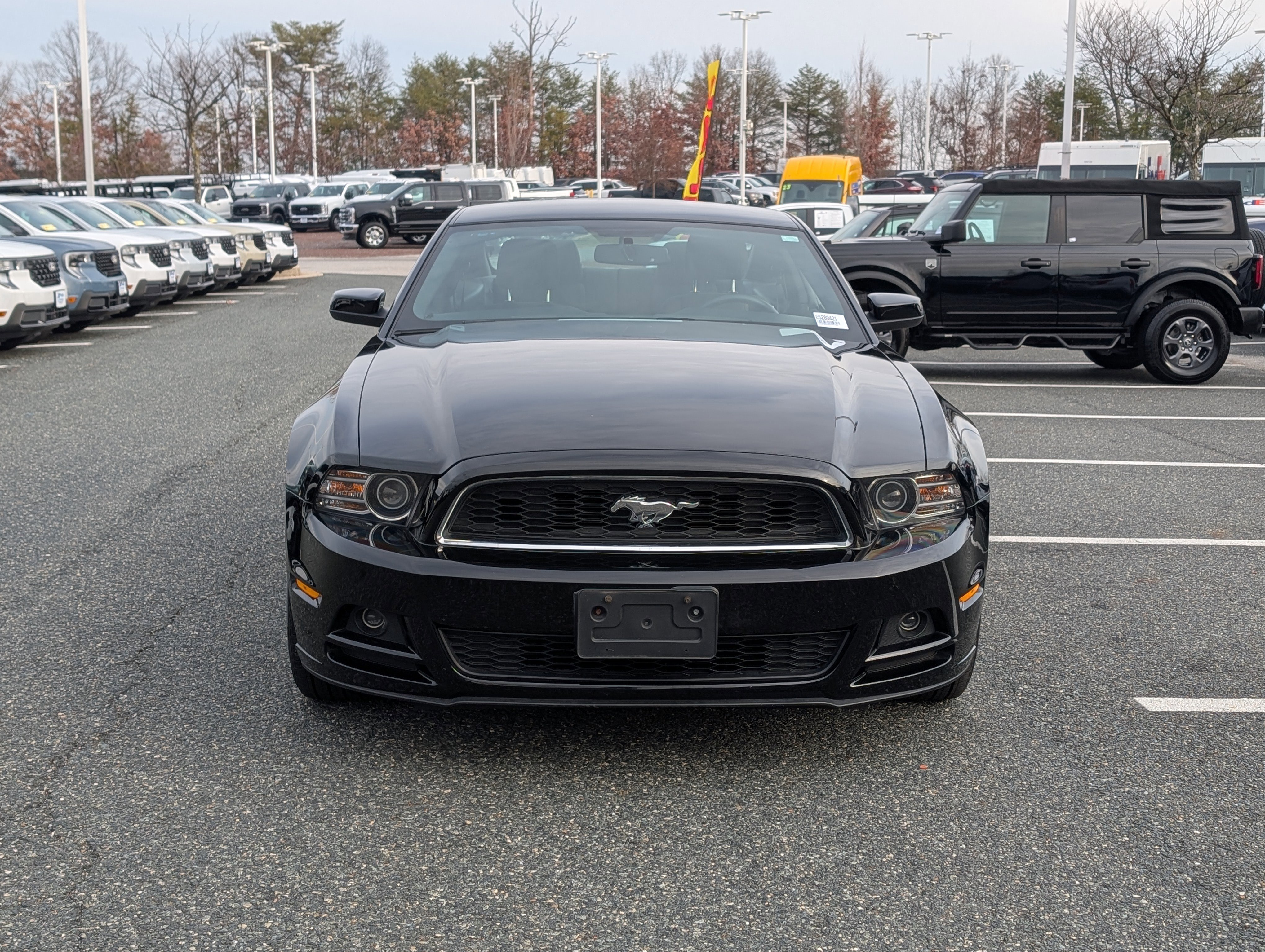 Used 2014 Ford Mustang Coupe w/ Equipment Group 102A image 6