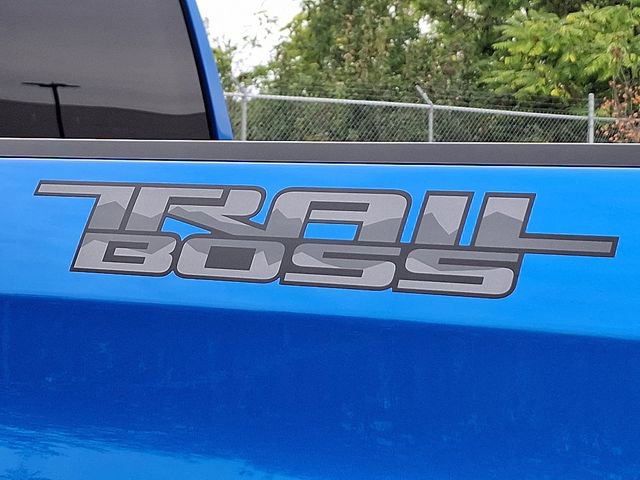 Used 2025 Chevrolet Silverado 1500 LT Trail Boss image 34