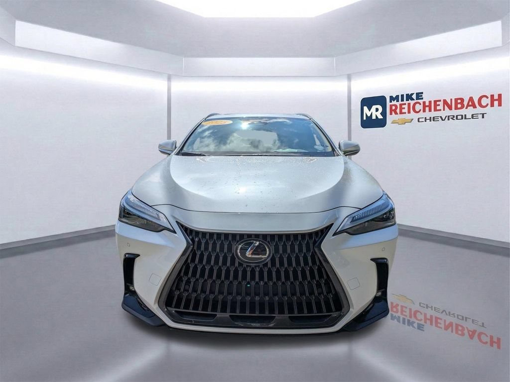 Used 2025 Lexus NX 350h AWD w/ Cold Area Package image 9