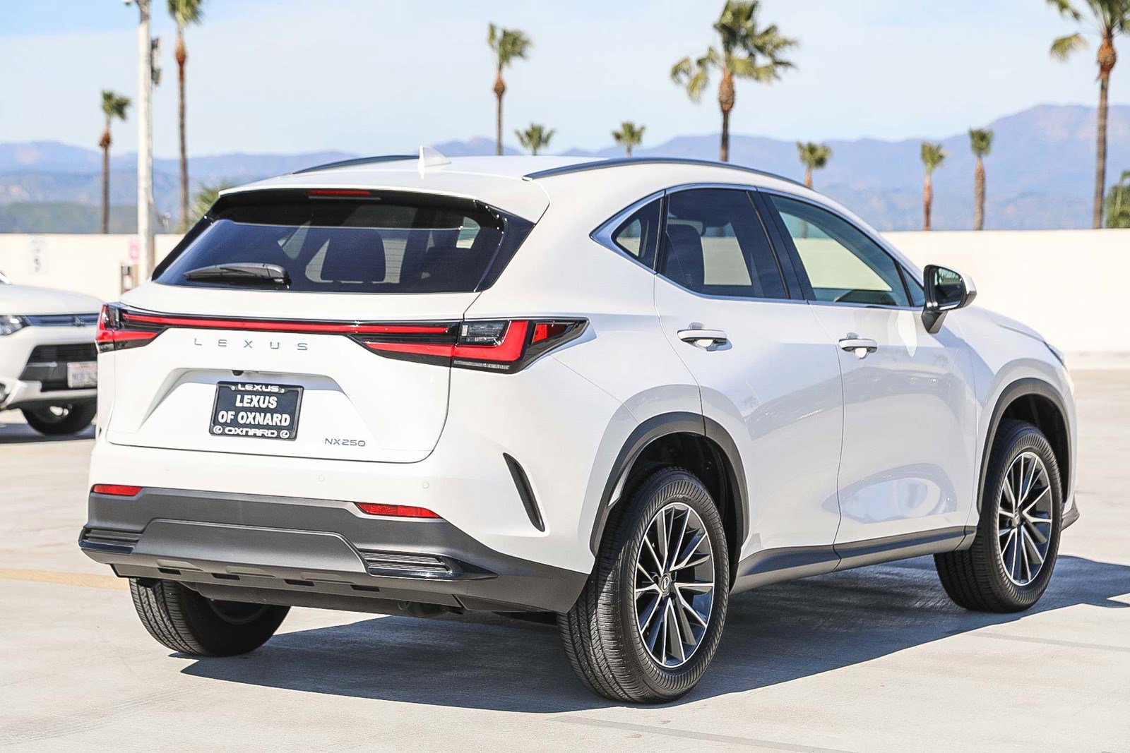 Used 2025 Lexus NX 250 FWD image 7