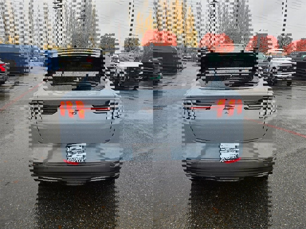 New 2025 Ford Mustang Mach-E GT w/ Interior Protection Package image 6