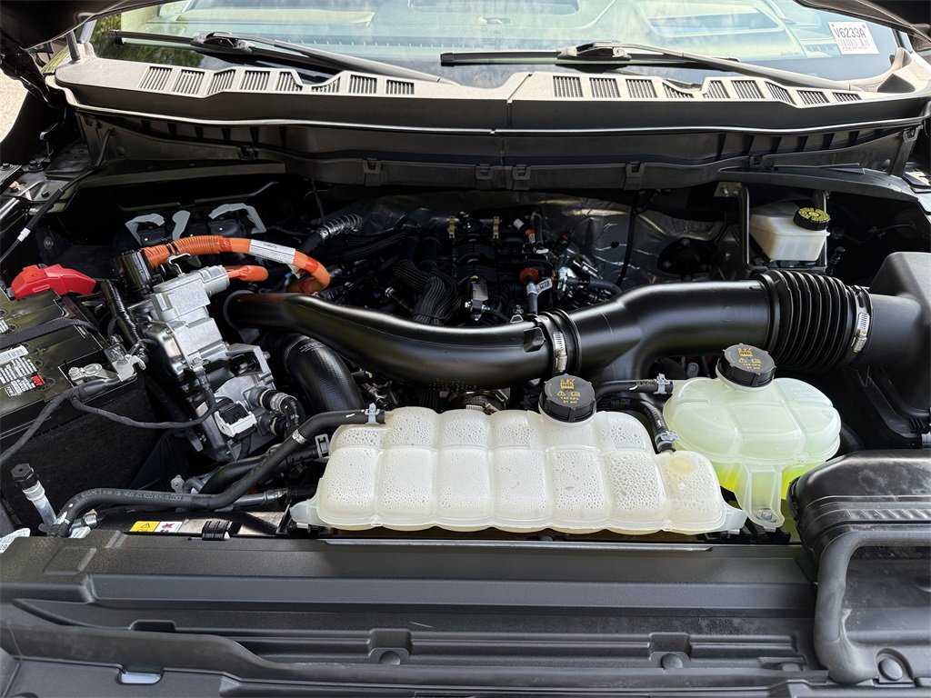 Used 2024 Ford F150 King Ranch image 11