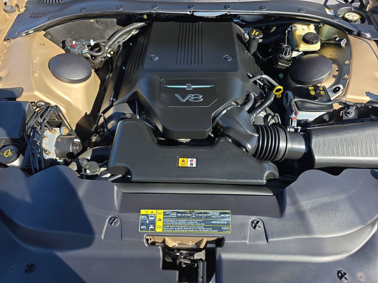 Used 2005 Ford Thunderbird RWD image 13