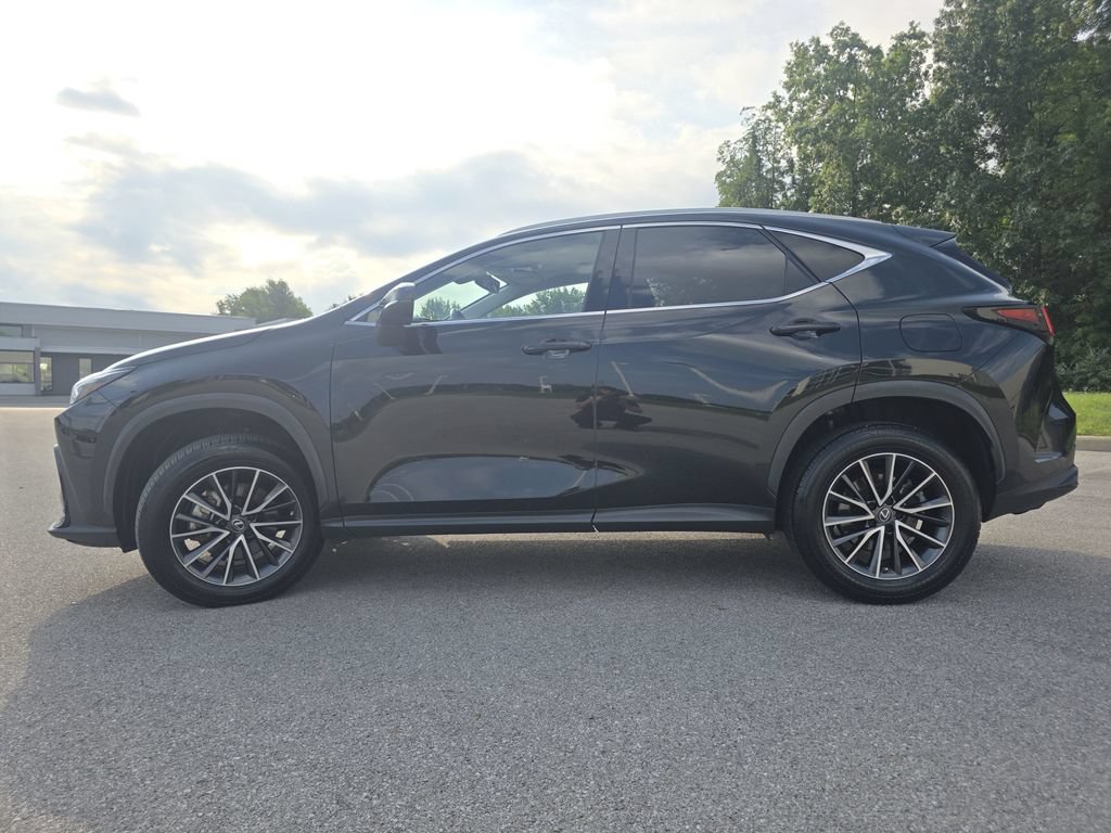 Certified 2022 Lexus NX 350h AWD w/ Cold Area Package image 6