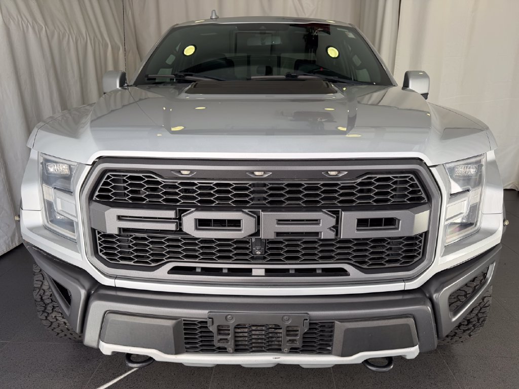 Used 2019 Ford F150 Raptor w/ Equipment Group 802A Luxury AWD/4WD image 6