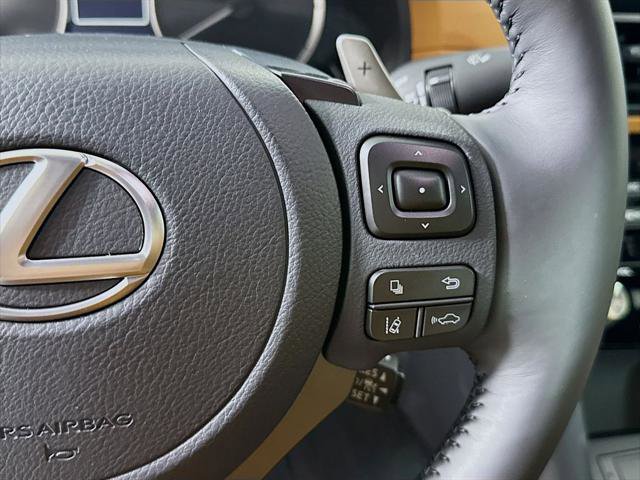 Certified 2025 Lexus IS 300 F Sport image 12
