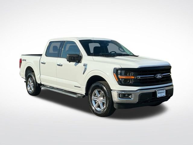 Used 2024 Ford F150 XLT w/ Mobile Office Package image 9