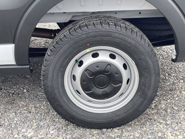 New 2026 Ford Transit 250 148 Medium Roof w/ Load Area Protection Package RWD image 3