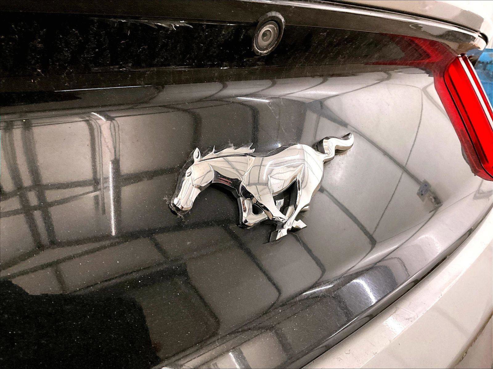 Used 2016 Ford Mustang Premium image 14