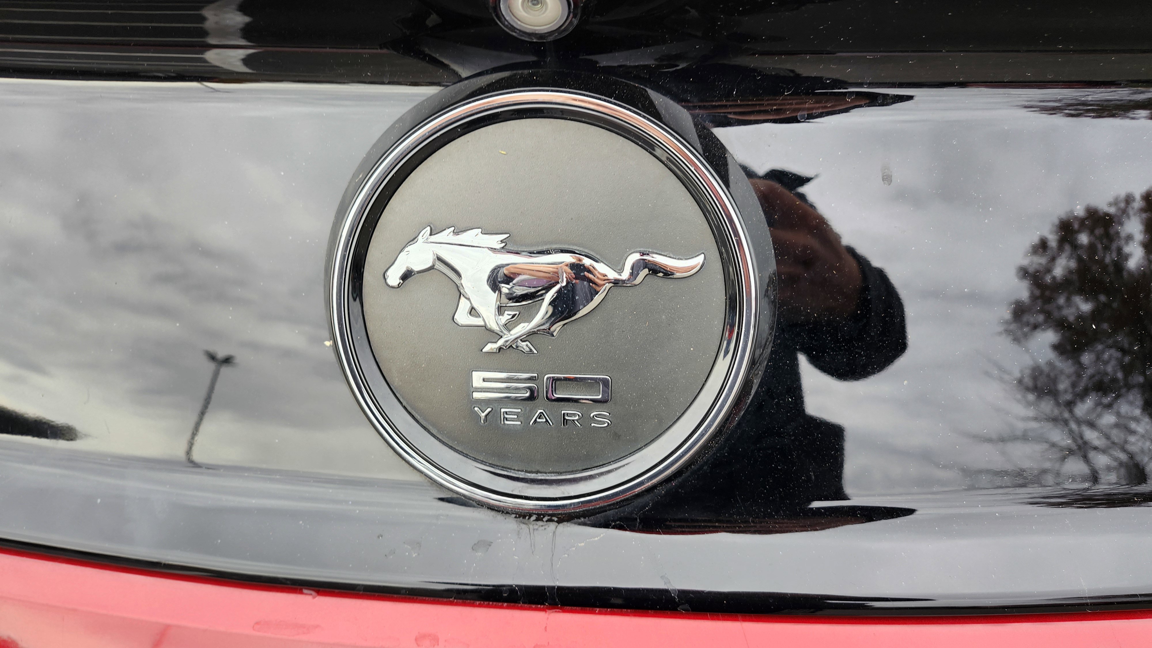 Used 2015 Ford Mustang Premium w/ Equipment Group 201A image 24