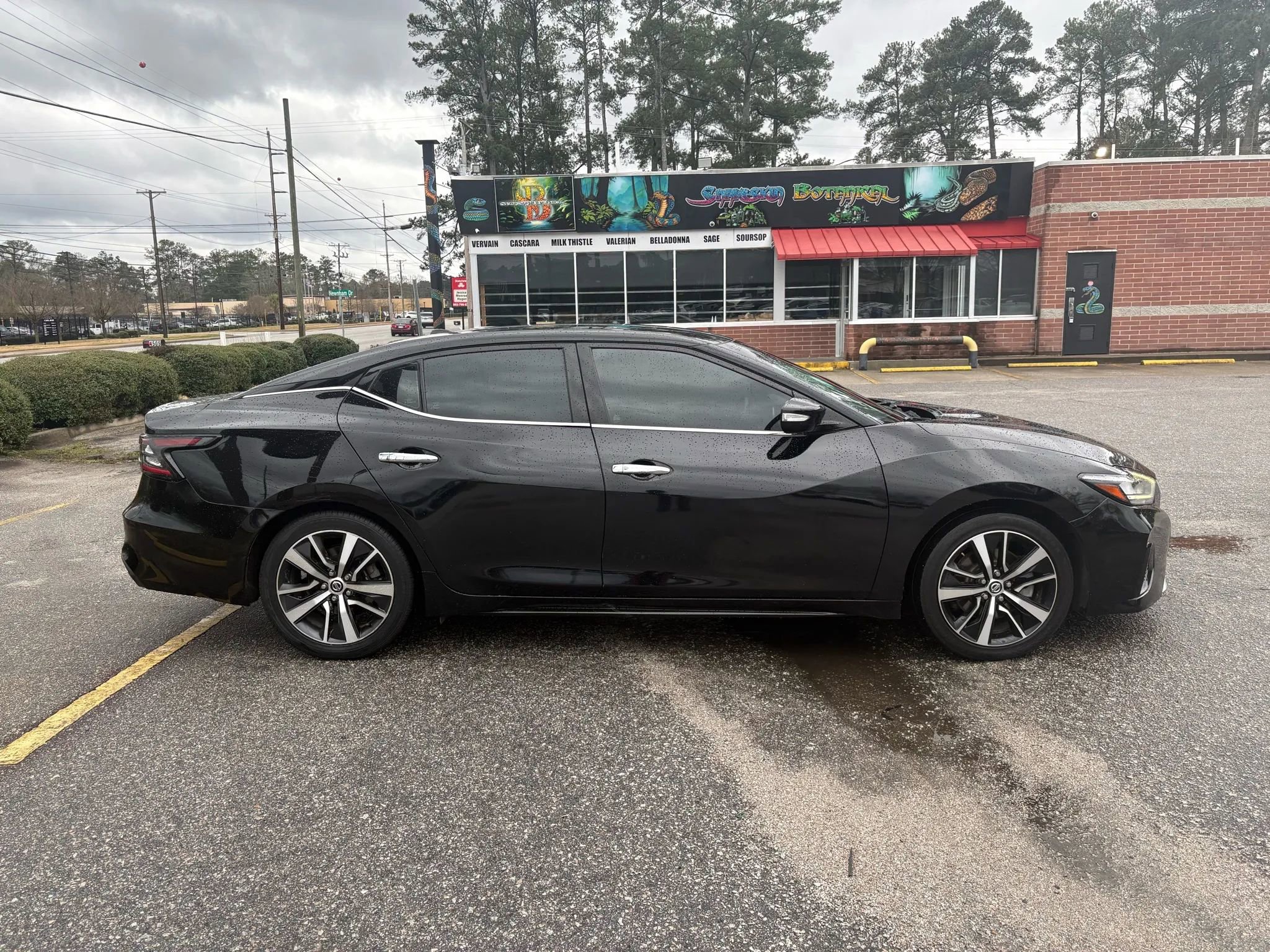Used 2022 Nissan Maxima SV w/ Floor Mat Group image 6