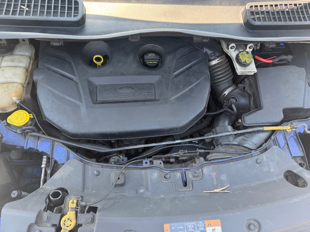 Used 2015 Ford Escape SE image 15