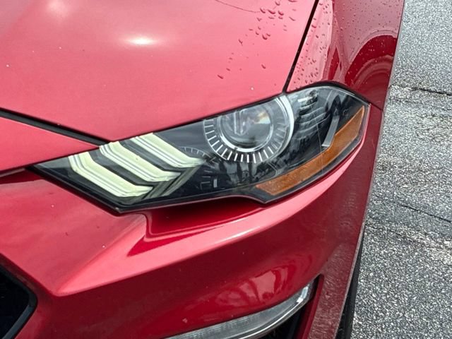 Used 2020 Ford Mustang GT Premium w/ Equipment Group 401A RWD image 10