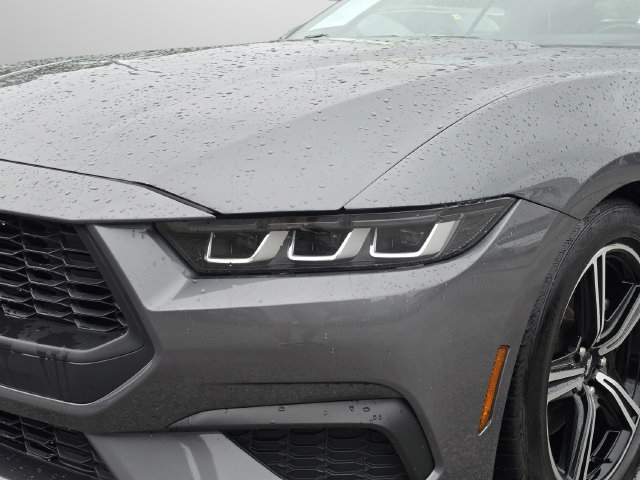 Used 2024 Ford Mustang Premium RWD image 17