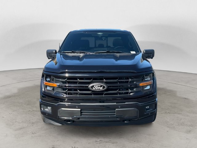 Used 2025 Ford F150 XLT w/ Equipment Group 303A High AWD/4WD image 3