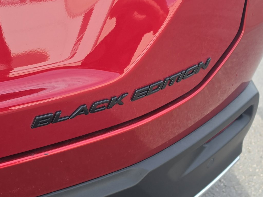 Certified 2025 Honda Pilot Black Edition image 8
