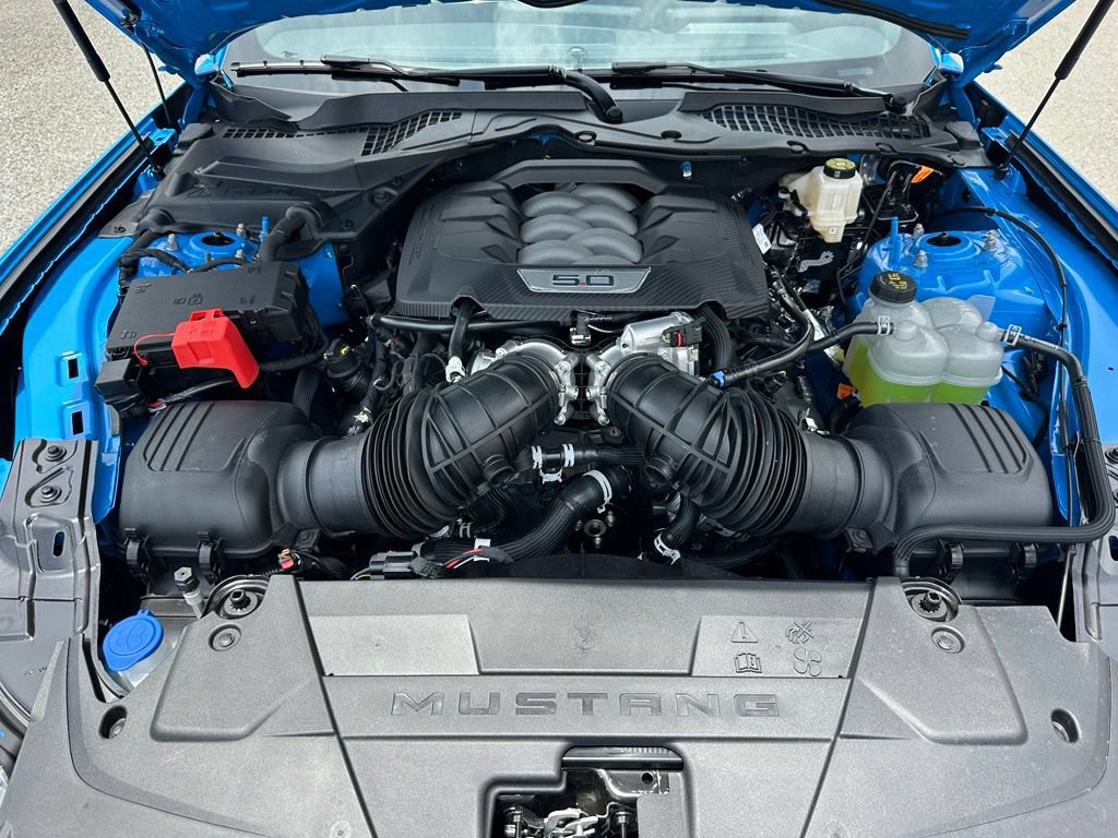 New 2026 Ford Mustang GT w/ Mustang Nite Pony Package RWD image 29