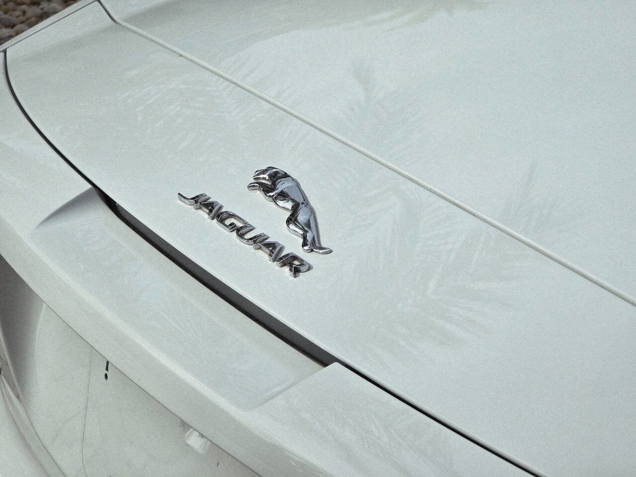 Used 2016 Jaguar F-TYPE R image 14