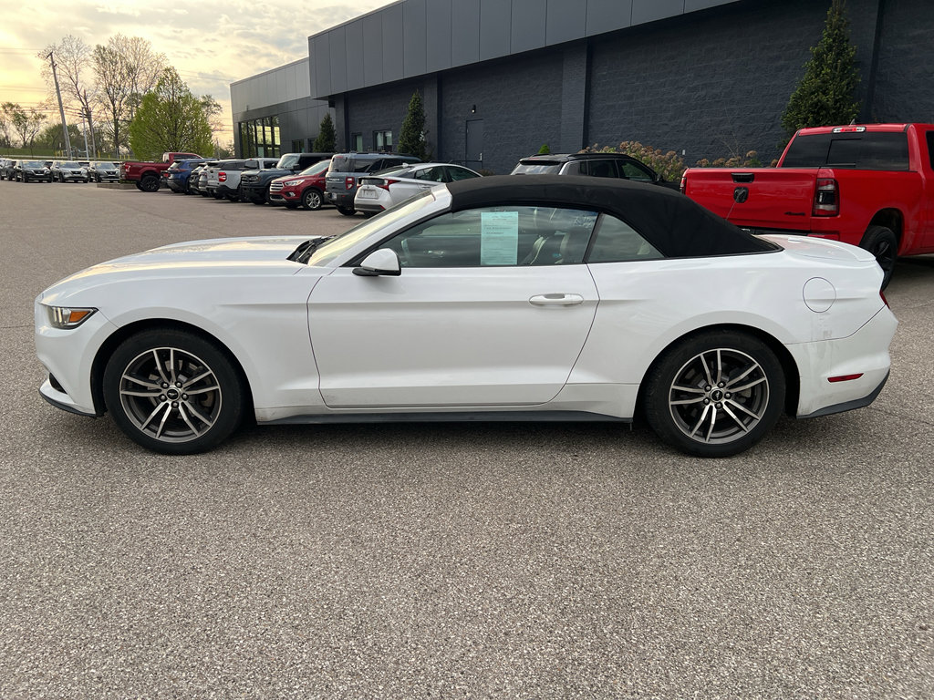 Used 2016 Ford Mustang Premium image 4