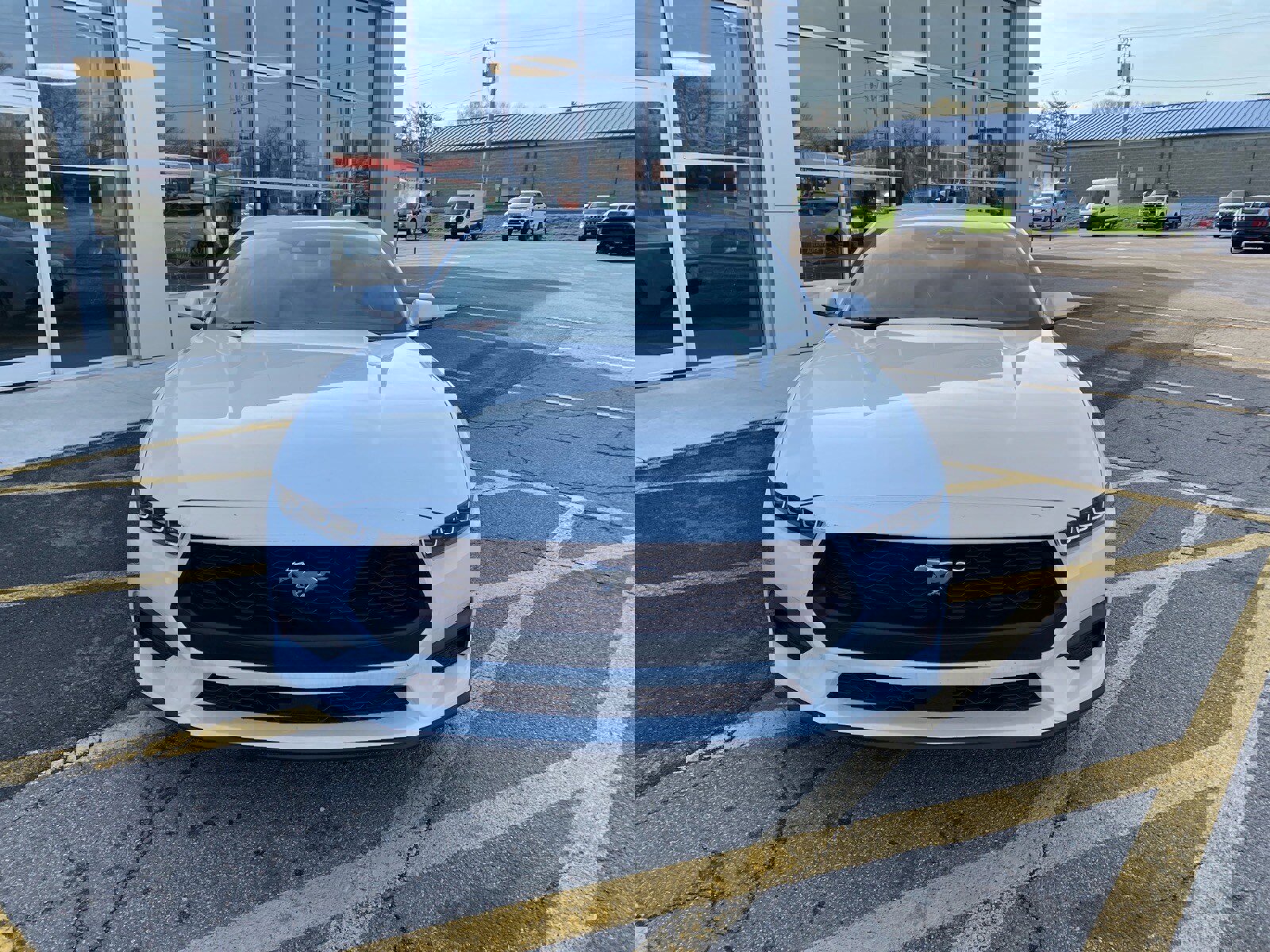 Used 2025 Ford Mustang Coupe image 8